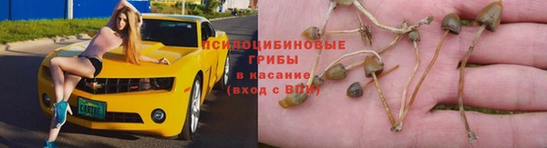 шишки Кинешма