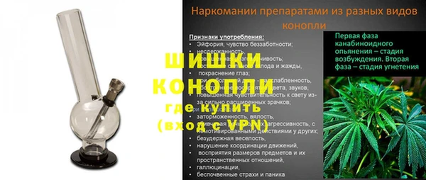 шишки Кинешма